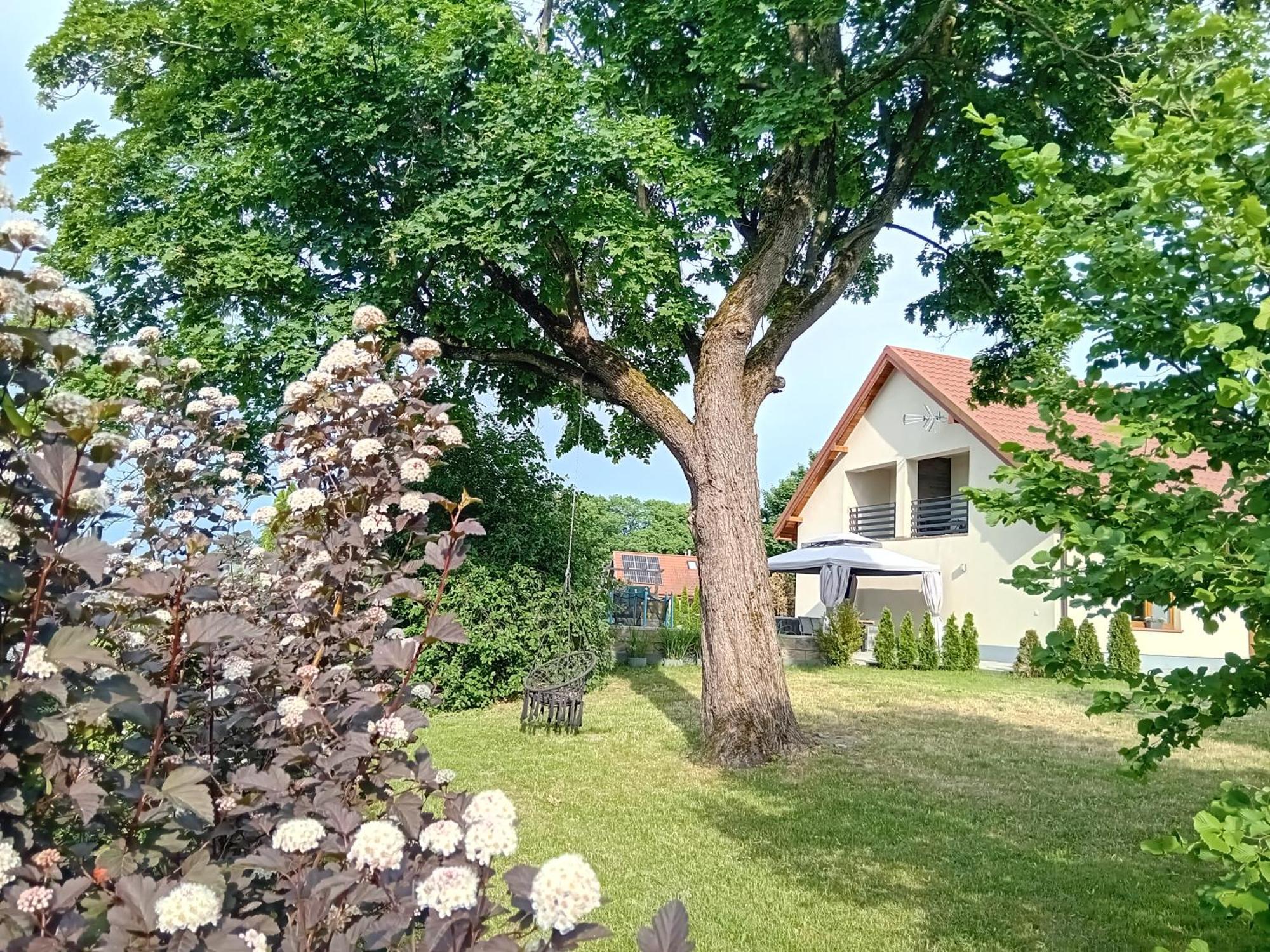 Pokoje Goscinne Sloneczny Klon Dabrowno Exteriör bild