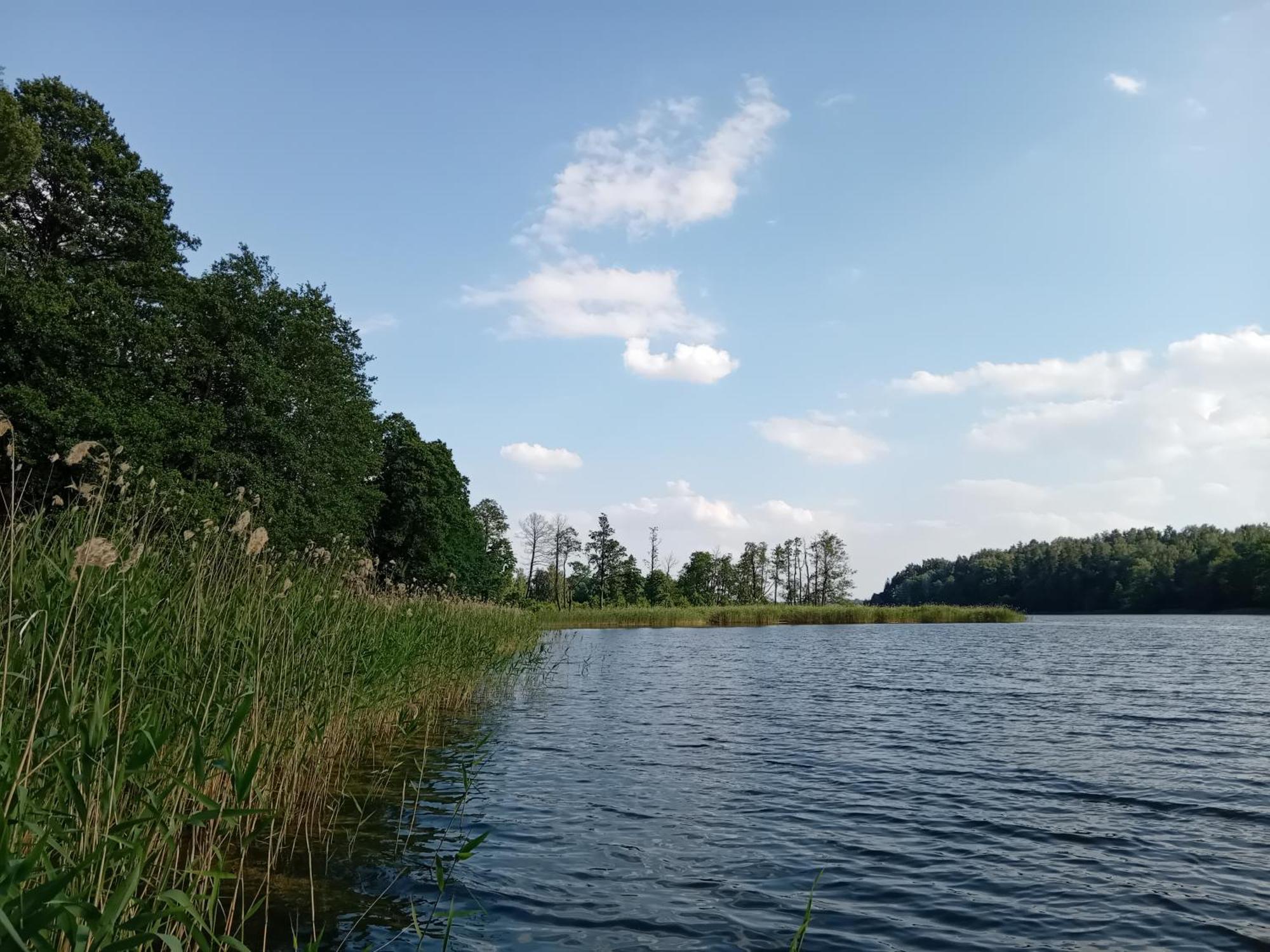 Pokoje Goscinne Sloneczny Klon Dabrowno Exteriör bild